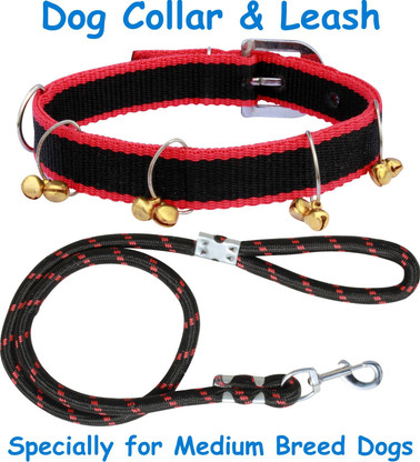 martingale leash collar combo