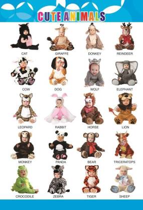Cute Animal wall Charts - Extremely usefull for growing kids | Laminated  Chart |Paper Size (13*19 Inch) | Paper Print (Rolled with Safety Tube)  Paper Print - Animals posters in India -