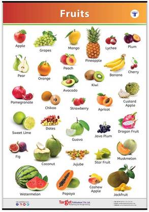 Jumbo All In One Fruits Chart For Kids My First Early Learning Educational Chart For Homeschooling Kindergarten And Nursery Children 39 25 X 27 25 In Paper Print Educational Posters In