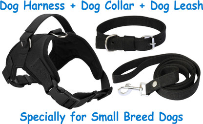dog leash harness combo