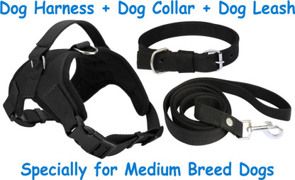 collar harness combo