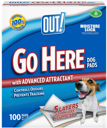 out dog diapers