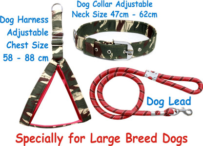 printed dog leads