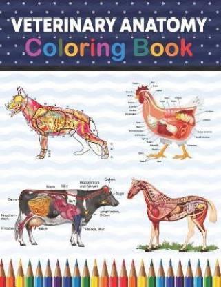 Veterinary Anatomy Coloring Book: Buy Veterinary Anatomy Coloring Book by  Publication Sreijeylone at Low Price in India 