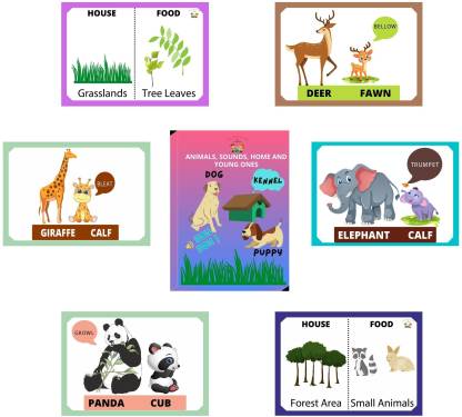 Fun and Learn 2 in 1 Flash Card Front Animal with Baby and Back Sound, Home  Food content in 20 Flash Card with 40 Topics Price in India - Buy Fun and