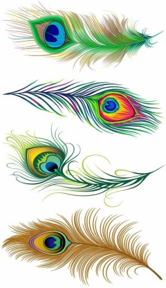 peacock feather Tattoo by Samarveera2008 on DeviantArt