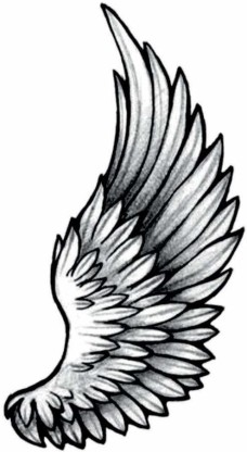 AngelEagle Wings With Names and  Love In Ink Tattoos  Facebook