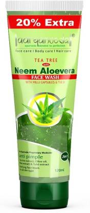 Aryanveda Tea Tree Face Wash  (120 ml)