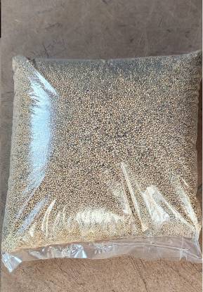 Foxtail Seeds,Kangni,Thinai Millet Birds Seeds 100% Natural Birds Foods(1000GM) 1KG for Cockatiel,Love Birds, Silver Finches, Munia, Parakeets, Parrots, Budgies,Dove All Eating Small & BigBirds