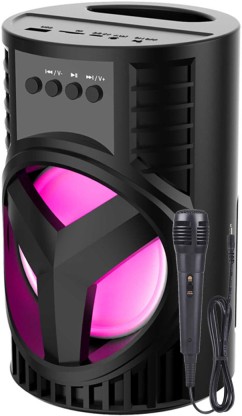 portable speaker with microphone best buy