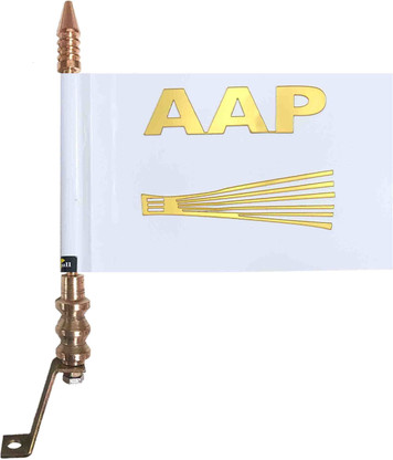 aap car