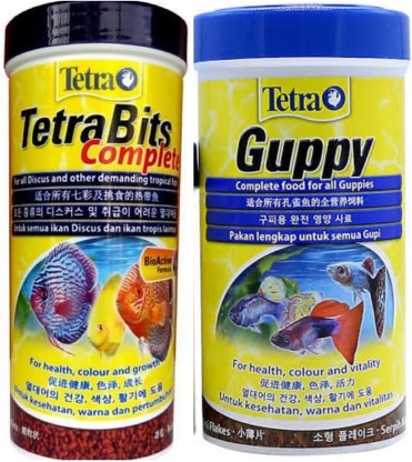 tetra guppy fish food