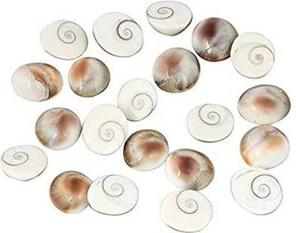 PUSPANJALI HERBALS Natural Original Gomati Chakra for Lakshmi ...