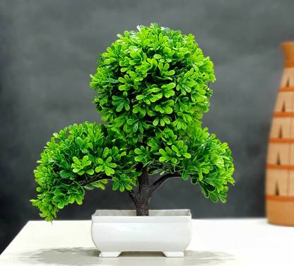 Carnival Clover Plants for Bathroom Home Office Desk Decor, Small  Artificial Faux Greenery for Farmhouse Bonsai Artificial Plant with Pot  Price in India - Buy Carnival Clover Plants for Bathroom Home Office