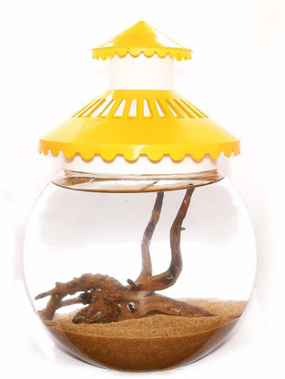 fish bowl cover with light