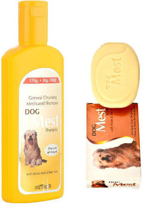 homeopathic dog shampoo