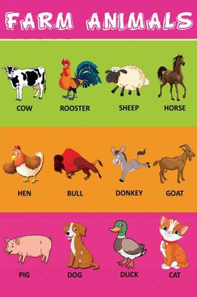 Learning Poster for Kids|Farm Animals|Kids Educational Poster For Wall|Unframed Poster For Play School, Kindergarten, Classroom|Wall Decor Item|High Resolution 300 GSM Poster Paper Print - Educational posters in India - Buy art, film, Learning Poster for Kids|Farm Animals|Kids Educational Poster For Wall|Unframed Poster For Play School, Kindergarten, Classroom|Wall Decor Item|High Resolution 300 GSM Poster Paper Print - Educational posters in India - Buy art, film,