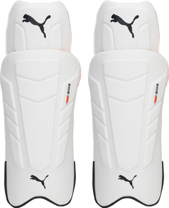 PUMA EVO 2 Wicket Keeper pad Men's (39 - 43 cm) Wicket Keeping Pad - Buy  PUMA EVO 2 Wicket Keeper pad Men's (39 - 43 cm) Wicket Keeping Pad Online  at Best Prices in India - Cricket | Flipkart.com