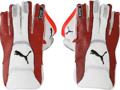 puma evo 2 wicket keeping gloves