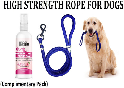 dog leash online