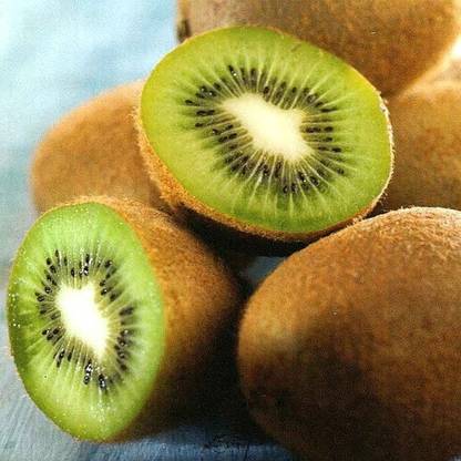PLANTZON Kiwi fruit Seed Price in India - Buy PLANTZON Kiwi fruit Seed online at Flipkart.com