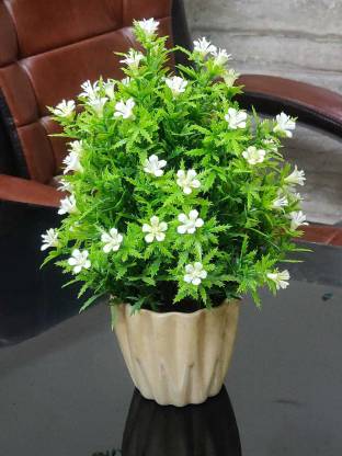 Style My Home White, Green Jasmine Artificial Flower with Pot Price in  India - Buy Style My Home White, Green Jasmine Artificial Flower with Pot  online at Flipkart.com