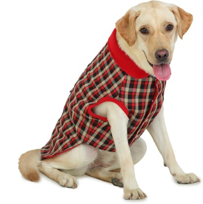 dog jacket flipkart