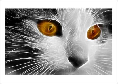 Sahaj Décor 80 cm most wonderfull white cat, Creative cats, highlight cat  pictures, hd cats photos,
