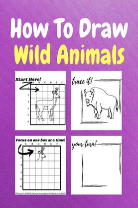 How To Draw Wild Animals - A Step by Step Coloring and Activity Book for Kids to Learn to Draw Wild Animals: Buy How To Draw Wild Animals - A Step by How To Draw Wild Animals - A Step by Step Coloring and Activity Book for Kids to Learn to Draw Wild Animals: Buy How To Draw Wild Animals - A Step by