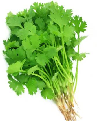 Dream mall Coriander Green Seed