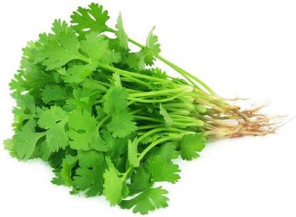 Dream mall Coriander Green Seed