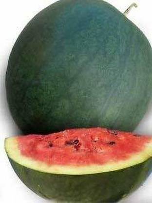 Dream mall Watermelon Seeds Seed