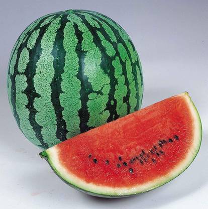 Dream mall Watermelon Seeds Seed