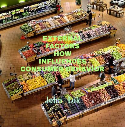 external influences on consumer behavior