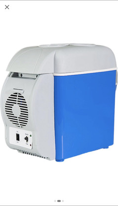mini portable electric cooler
