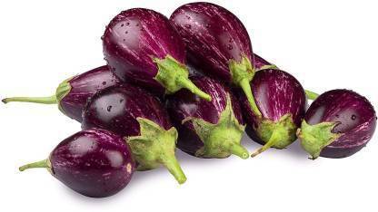 Maa Brinjal Cvk, Brinjal Purple Round, Eggplant Seed Price In India 