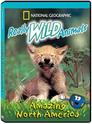 Really Wild Animals ~ National Geographic Amazing North America [DVD] Price  in India - Buy Really Wild Animals ~ National Geographic Amazing North  America [DVD] online at 