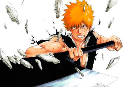 Bleach Anime Series Matte Finish Poster Paper Print - Animation & Cartoons  posters in India - Buy art, film, design, movie, music, nature and  educational paintings/wallpapers at 