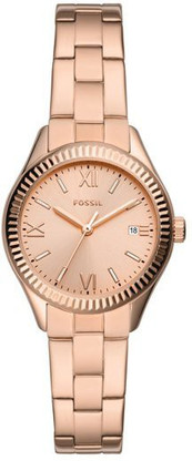 TEINSTORE Screen Guard for Fossil 