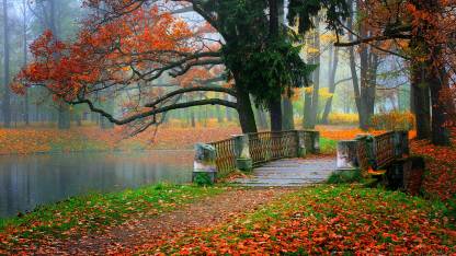 Concrete Bridge Between Colorful Park With Fallen Dry Leaves Wall ...