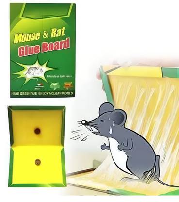 GIRIKA Rat Glue Pad Big Size for Home / Chuha Chipkane Pakadne Wala Paper Jaal Snap Trap Price in India - Buy GIRIKA Rat Glue Pad Big Size for Home / Chuha GIRIKA Rat Glue Pad Big Size for Home / Chuha Chipkane Pakadne Wala Paper Jaal Snap Trap Price in India - Buy GIRIKA Rat Glue Pad Big Size for Home / Chuha