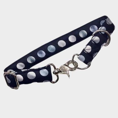 leather dog collar with stars