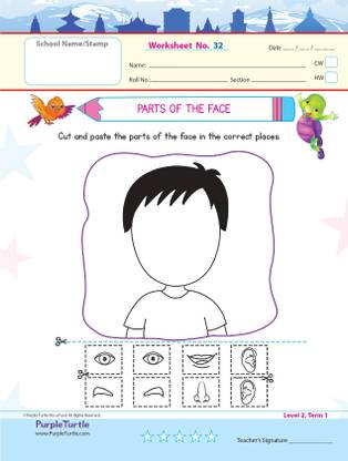 purple turtle worksheets combo for lkg english maths evs 100 worksheets 100 pages 50 leafs buy purple turtle worksheets combo for lkg english maths evs 100 worksheets 100