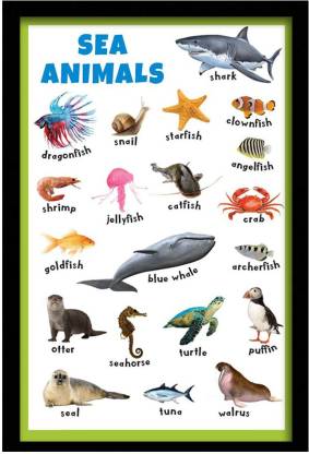 surmul Sea Animals Frame Wall Poster Synthetic Laminated Multi Kids Canvas  18 inch x 12 inch Painting Price in India - Buy surmul Sea Animals Frame  Wall Poster Synthetic Laminated Multi Kids