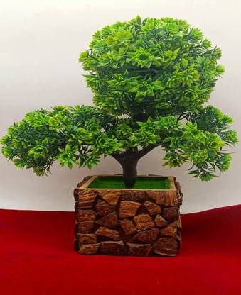Namisha Artificial Bonsai Plant With Elegant Coconut Pot For Home And Office Decoration Bonsai Wild Artificial Plant With Pot Price In India Buy Namisha Artificial Bonsai Plant With Elegant Coconut Pot