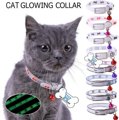 e-collar cat