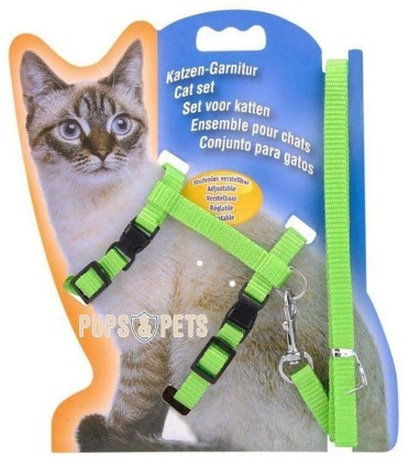 cat strap harness