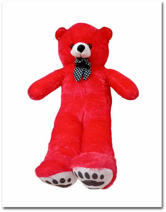 teddy medium size