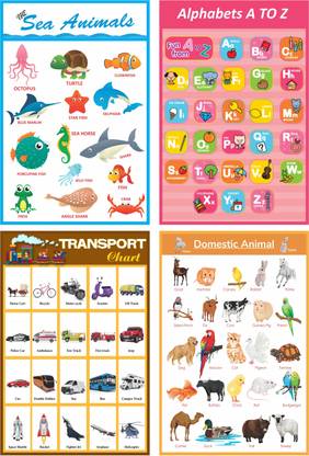 Spacial Edition Big Size Kid's Learning Poster Alphabet Chart , Sea Animal Poster ,Transport Poster , Domestic Animal Spacial Edition Big Size Kid's Learning Poster Alphabet Chart , Sea Animal Poster ,Transport Poster , Domestic Animal