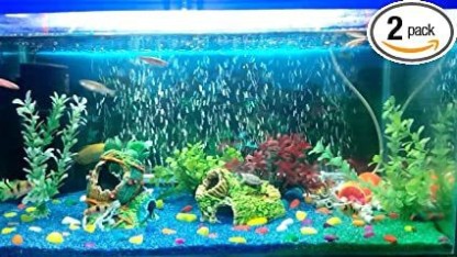 aquarium stone price